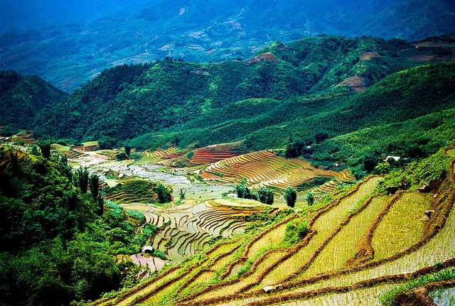 Tour du lịch Sapa 3 ngày 4 đêm